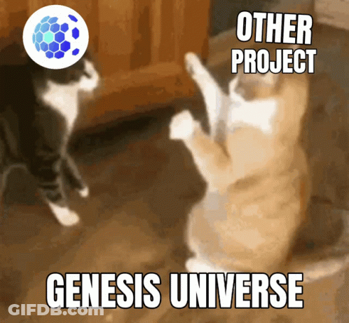 Two Cats Are Standing Next To Each Other With The Words Other Project Genesis Universe On The Bottom GIF