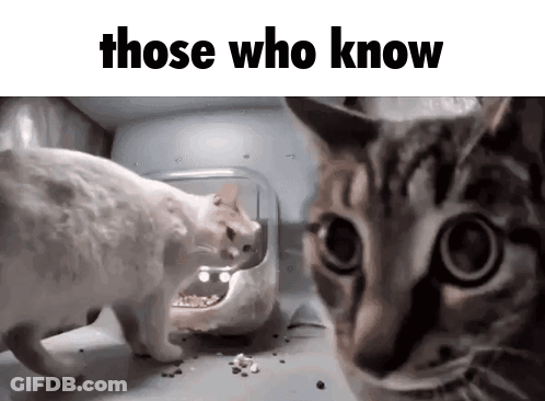 Two Cats Are Standing Next To Each Other With The Words Those Who Know Above Them GIF