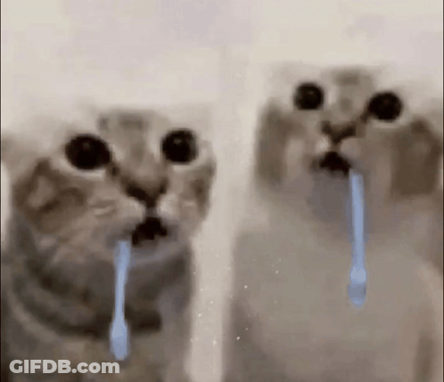 Two Cats Are Standing Next To Each Other With Their Mouths Open And Tears Coming Out Of Them . GIF