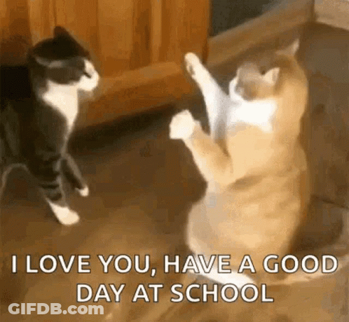 Two Cats Are Standing On Their Hind Legs And One Of Them Is Saying `` I Love You , Have A Good Day At School '' GIF