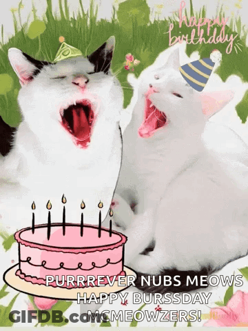 Two Cats Are Yawning Next To A Birthday Cake With Candles . GIF