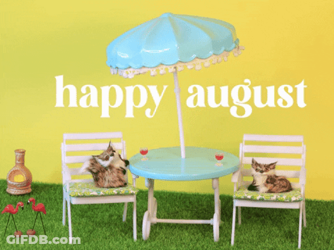 Two Cats Chilling For Happy August GIF