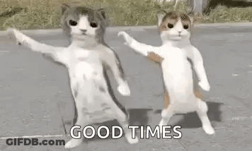 Two Cats Dancing On Street Saying Good Times GIF