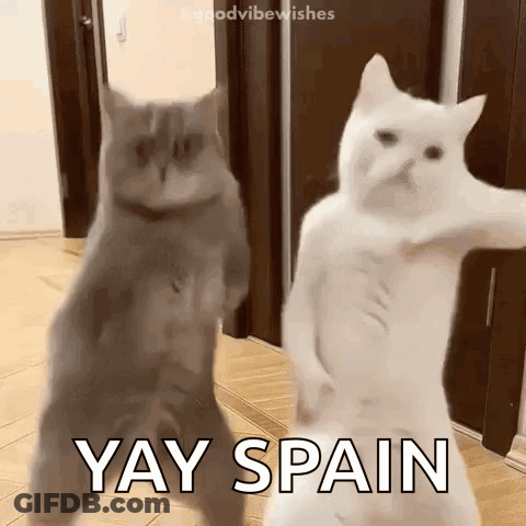 Two Cats Dancing Yay Spain GIF