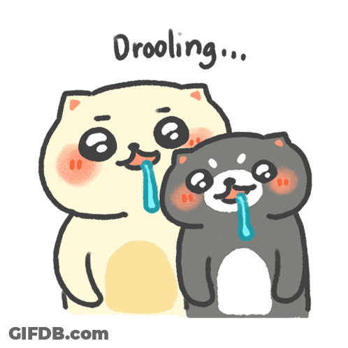 Two Cats Drooling GIF