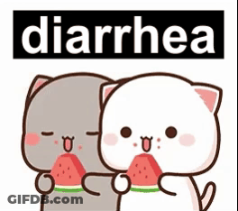 Two Cats Eating Watermelon Saying Diarrhea GIF