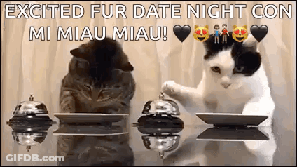 Two Cats Excited Fur Date Night Con Mi Miau Miau GIF