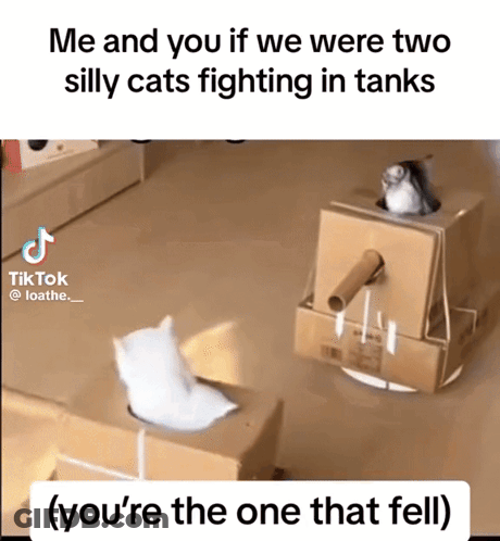 Two Cats Fighting In Cardboard Boxes Saying Me And You GIF