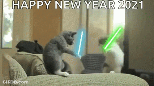 Two Cats Fighting With Lightsabers GIF