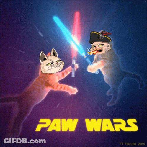 Two Cats Fighting With Lightsabers Paw Wars Poster GIF