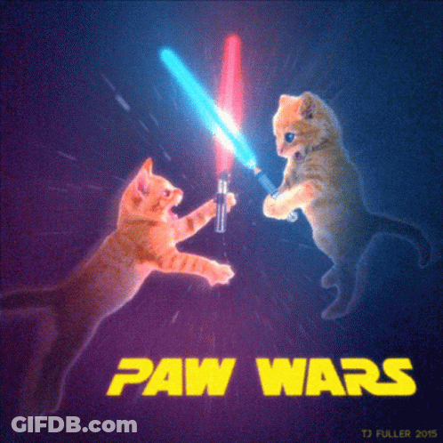 Two Cats Fighting With Lightsabers Saying Paw Wars GIF
