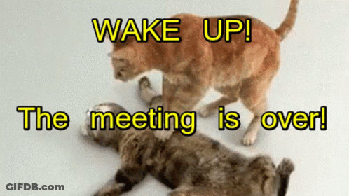 Two Cats Fighting With Wake Up The Meeting Is Over GIF