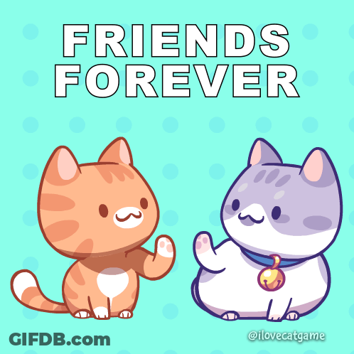 Two Cats Friends Forever Poster GIF