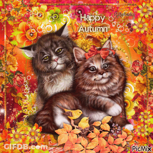 Two Cats Happy Autumn GIF