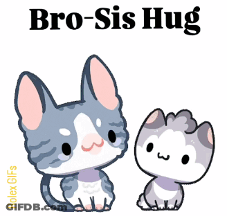 Two Cats Hugging Bro Sis GIF