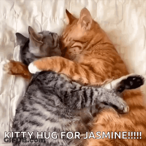 Two Cats Hugging Each Other On A Bed With The Words Kitty Hug For Jasmine Written On The Bottom GIF