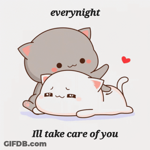 Two Cats Hugging Everynight Ill Take Care Of You GIF