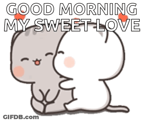 Two Cats Hugging Good Morning GIF
