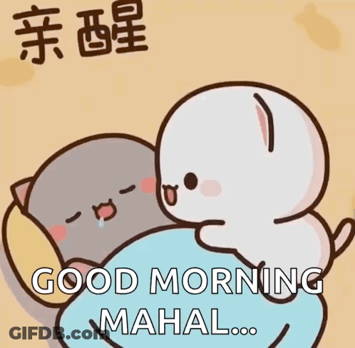 Two Cats Hugging Good Morning Mahal GIF
