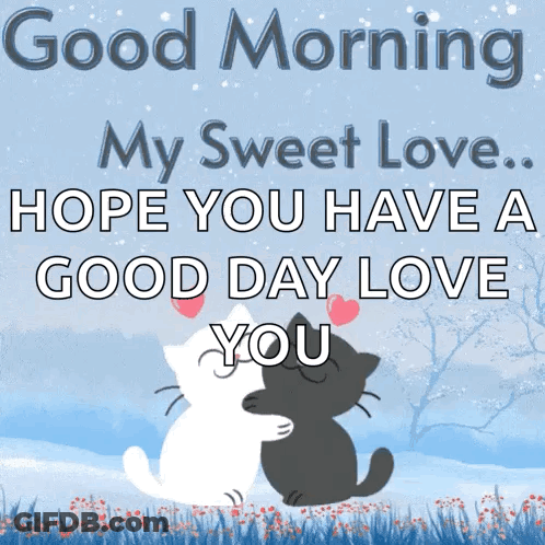Two Cats Hugging Good Morning My Sweet Love GIF