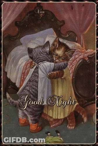 Two Cats Hugging Good Night GIF