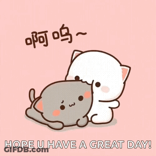 Two Cats Hugging Hope U Have A Great Day GIF