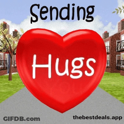 Two Cats Hugging Hugs GIF