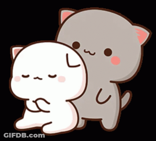 Two Cats Hugging GIF