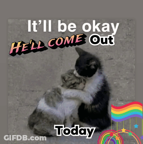 Two Cats Hugging It'll Be Okay He'll Come Out Today GIF