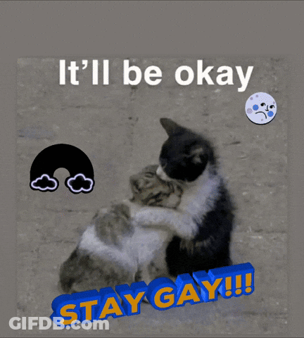 Two Cats Hugging It'll Be Okay Stay Gay GIF