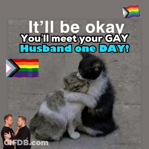 Two Cats Hugging It'll Be Okay You'll Meet Your Gay Husband One Day GIF