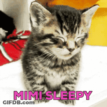 Two Cats Hugging Mi + Mi = Mimi Red GIF