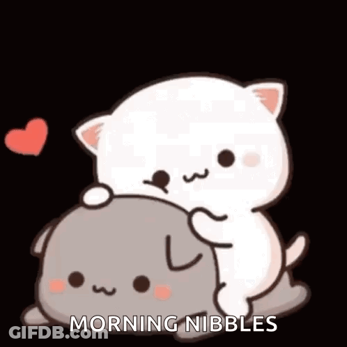 Two Cats Hugging On Black Background GIF