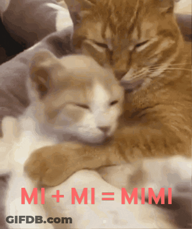 Two Cats Hugging Red Mi + Mi = Mimi GIF