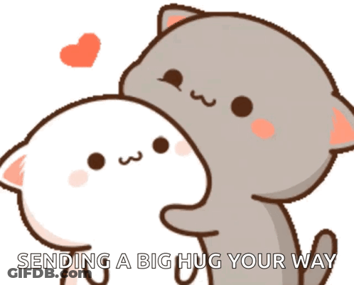 Two Cats Hugging Sending Big Hug GIF