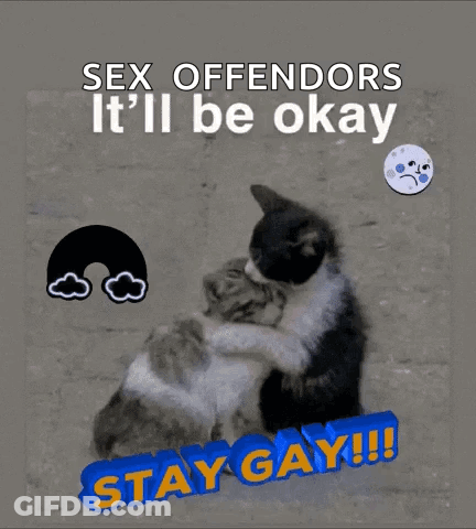 Two Cats Hugging Sex Offenders It'll Be Okay GIF