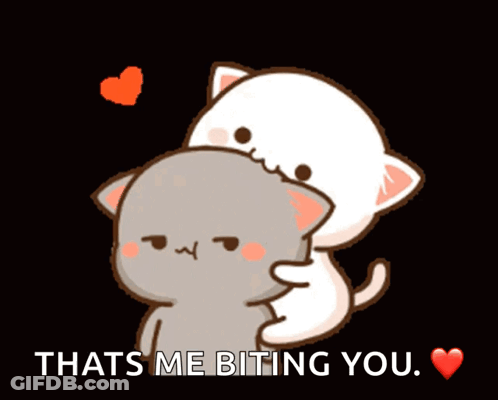 Two Cats Hugging Thats Me Biting You GIF