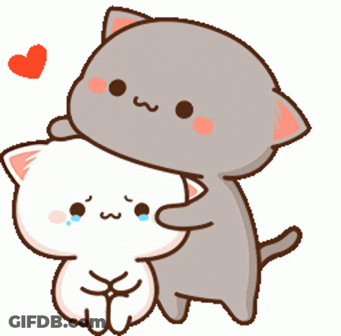 Two Cats Hugging With Heart GIF