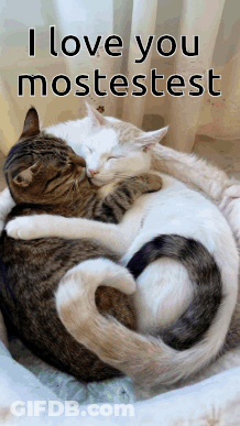 Two Cats Hugging With I Love You Mostestest GIF