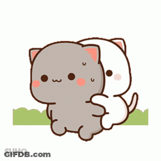 Two Cats Hugging With Suho GIF