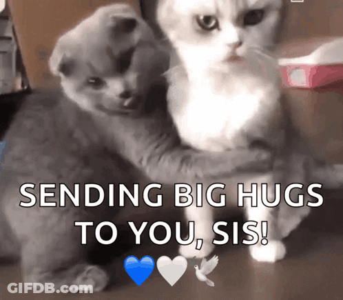 Two Cats Hugging With The Words Sending Big Hugs To You Sis On The Bottom GIF