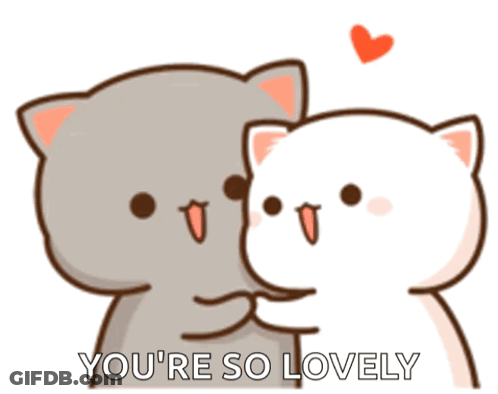 Two Cats Hugging You're So Lovely GIF