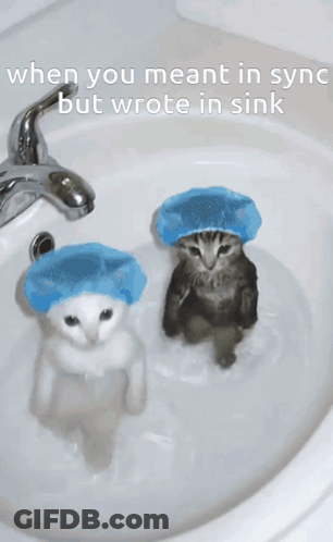 Two Cats In Blue Shower Caps In Sink Saying When You Meant In Syn But Wrote In Sink GIF
