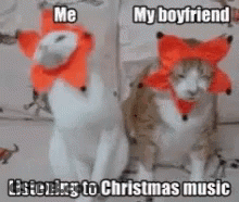 Two Cats In Christmas Hats Listening To Christmas Music GIF