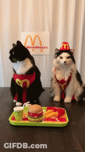 Two Cats In McDonald's Costumes With Food Tray GIF