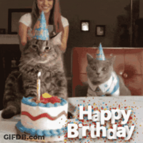Two Cats In Party Hats Beside Birthday Cake GIF