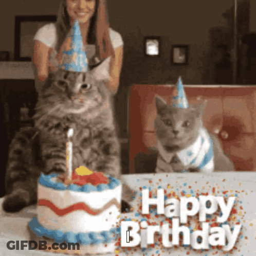 Two Cats In Party Hats Beside Birthday Cake GIF