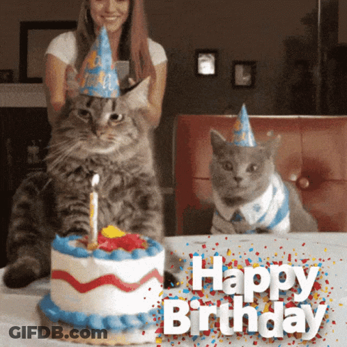Two Cats In Party Hats Beside Birthday Cake GIF