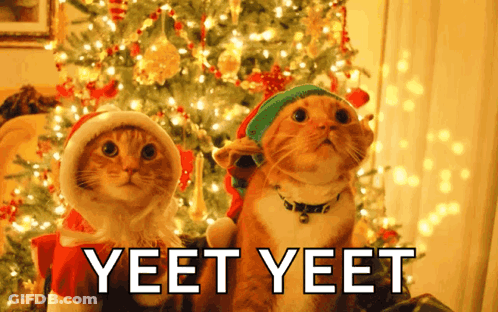 Two Cats In Santa Hats Yeet Yeet GIF