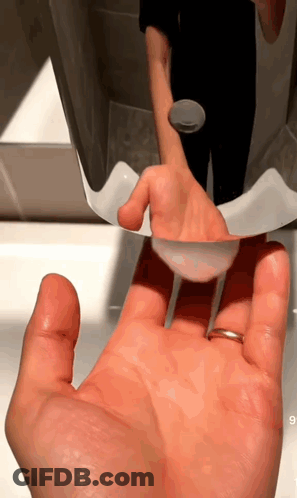 Two Cats In Sink Wearing Squiddy Caps GIF